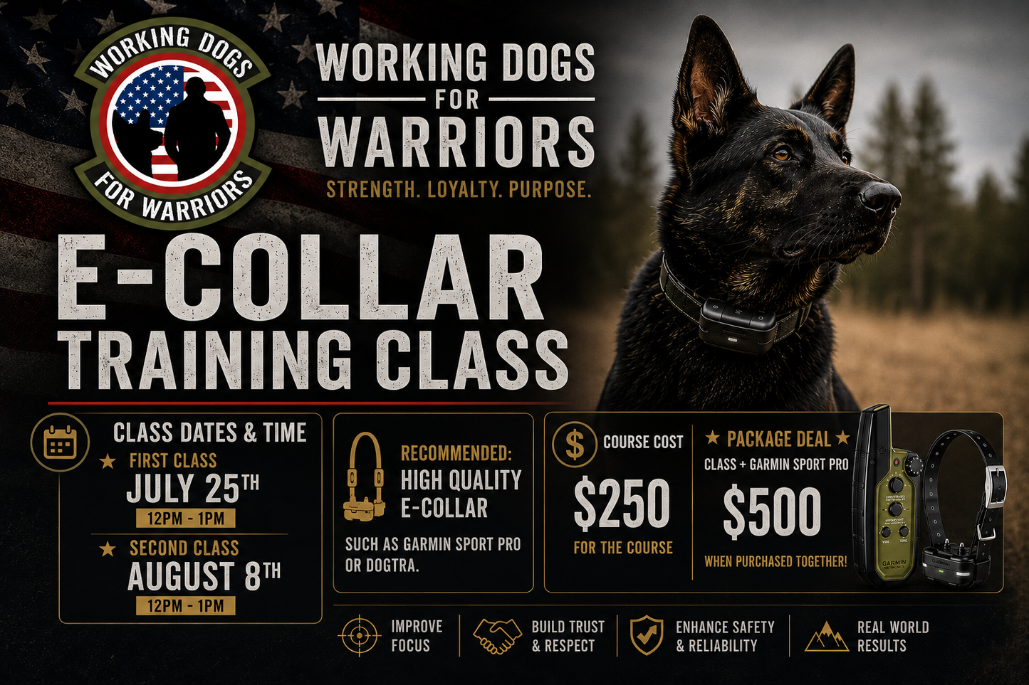 E-Collar Training Seminar