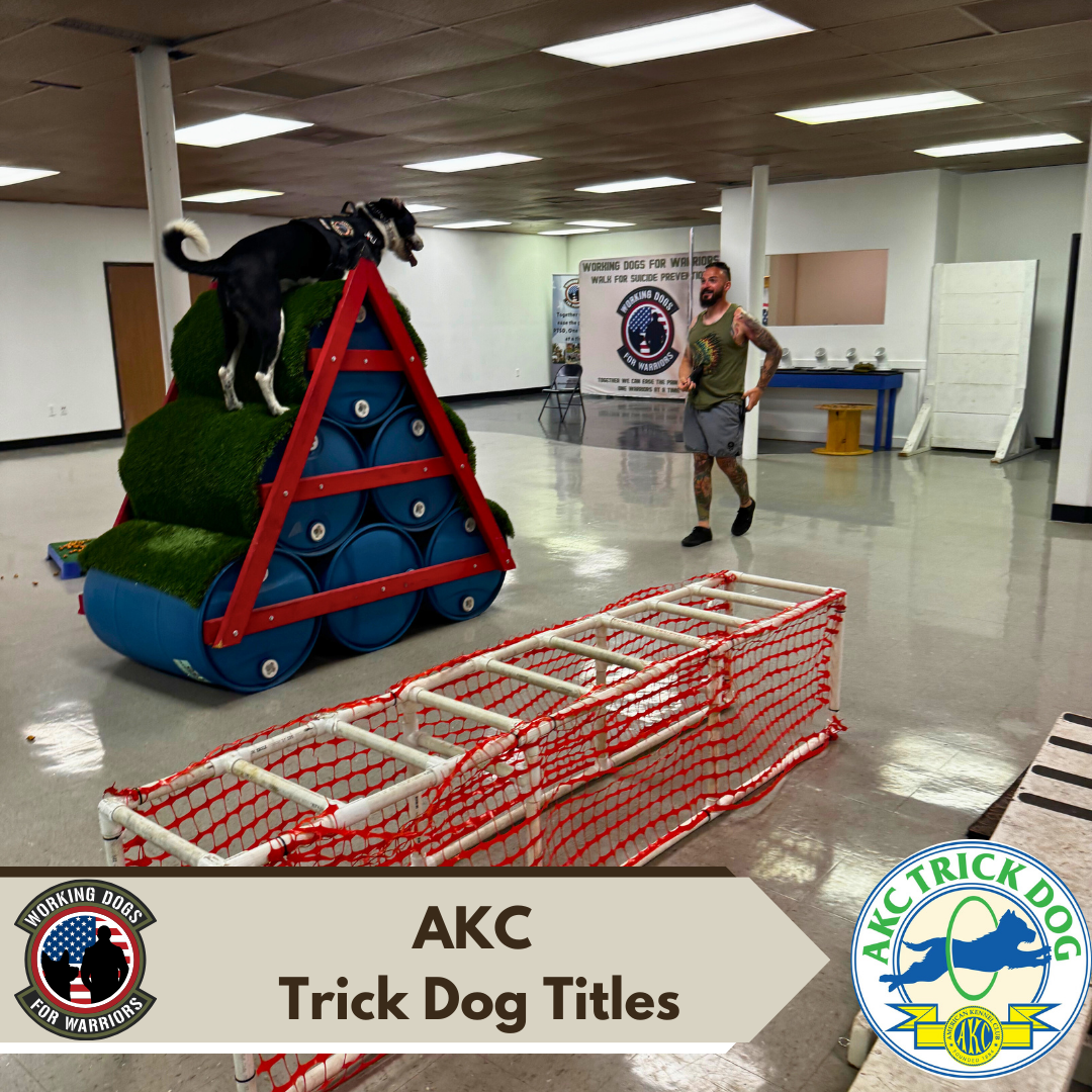 AKC Trick Dog