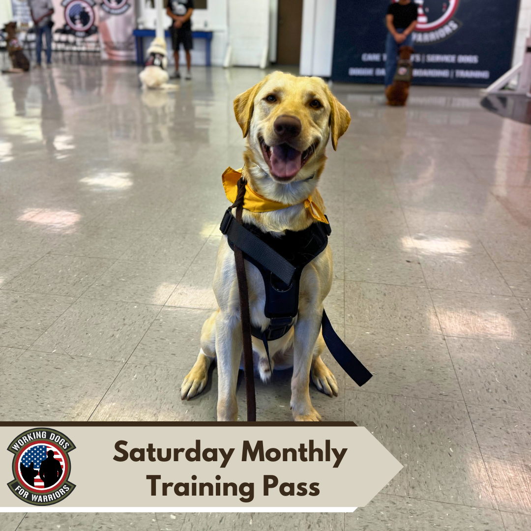 Saturday Training Pass