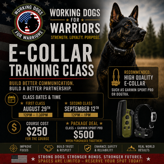 E-Collar Training Seminar