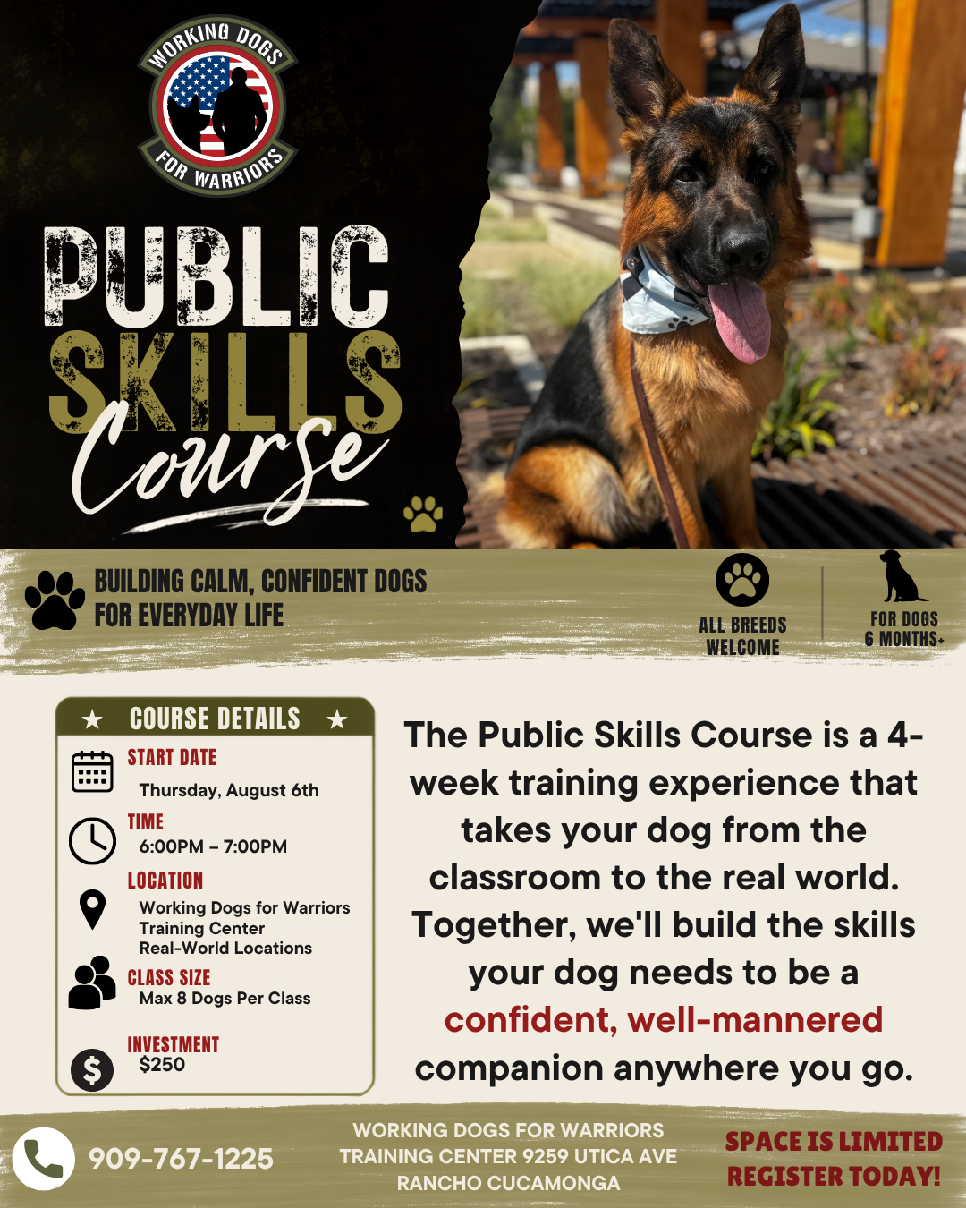 Public Skills Course