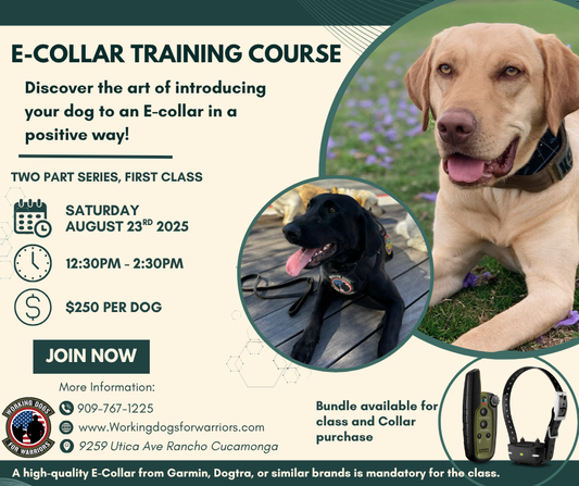 E-Collar Training Seminar