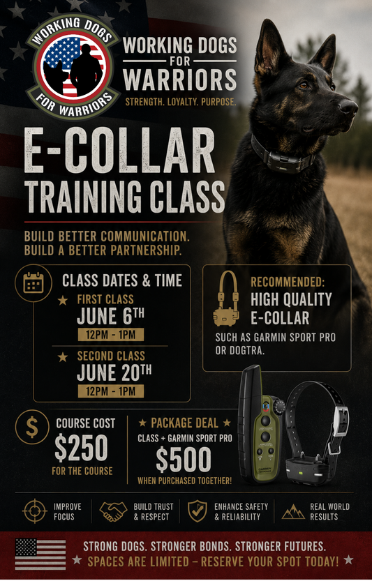 E-Collar Training Seminar
