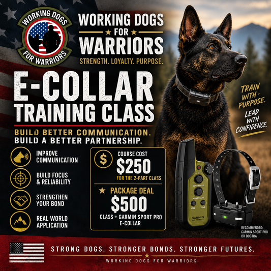 E-Collar Training Seminar