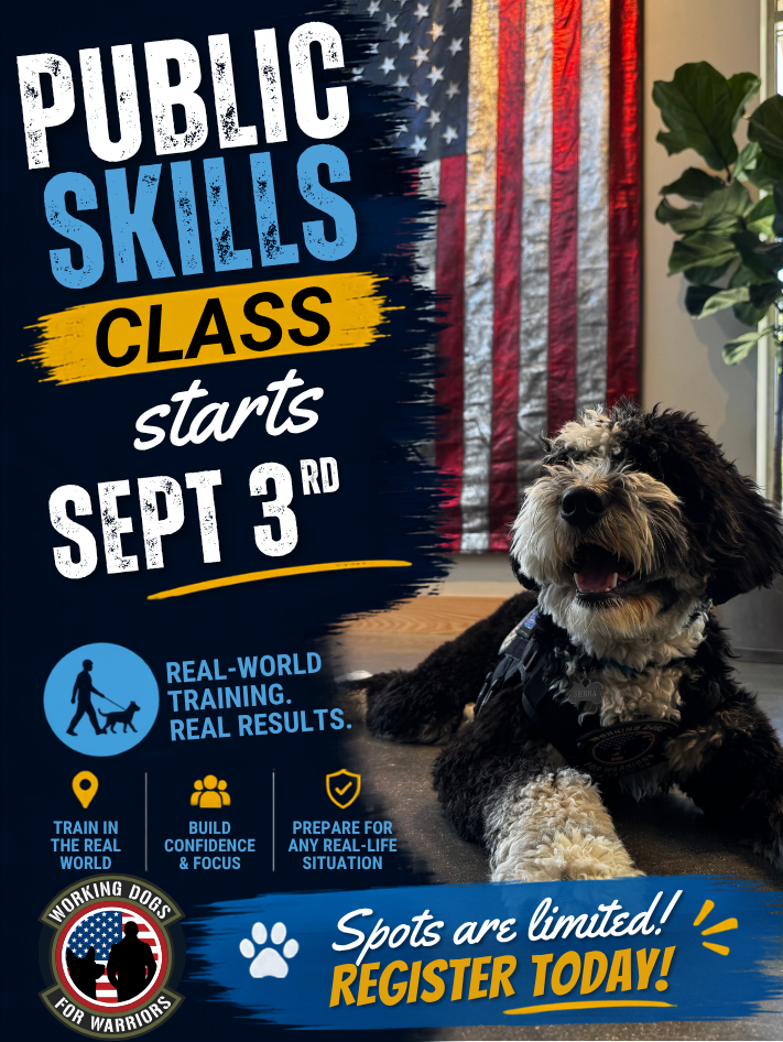 Public Skills Course
