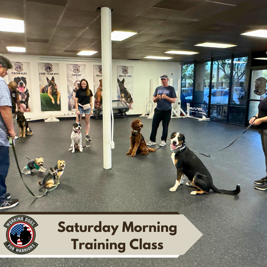Saturday Morning Training Class 10:30AM