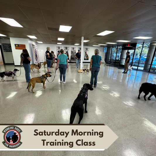 Saturday Morning Training Class