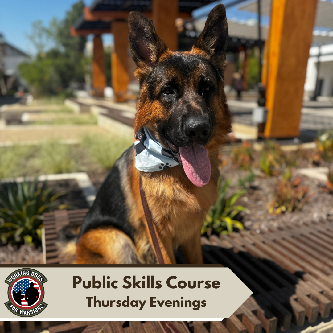 Public Skills Course